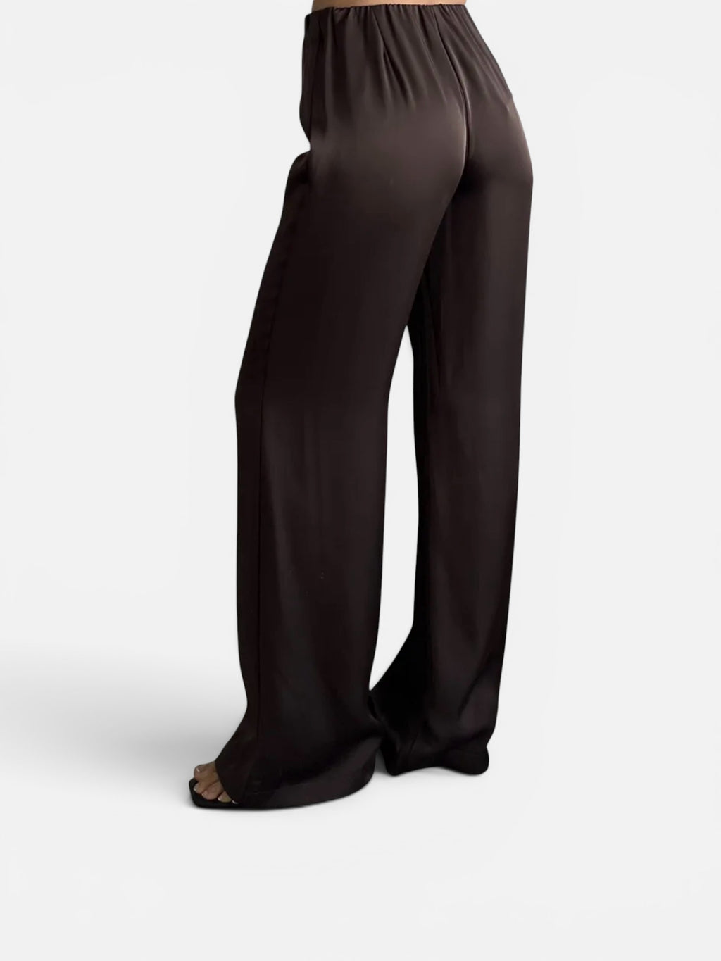 Satin Pants in Brown